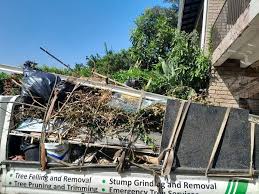 Best Shed Removal  in Kohler, WI