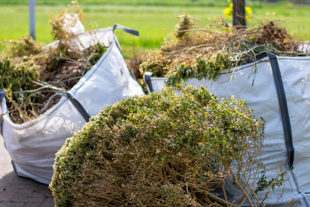 Best Construction Debris Removal  in Kohler, WI